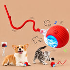 Interactive Smart Cat Ball with Tail | USB Rechargeable Motion Activated Rolling Pet Toy with LED Lights for Cats & Small Dogs