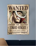 WHITE BEARD | VISION ANIME #020 | ANIME POSTERS